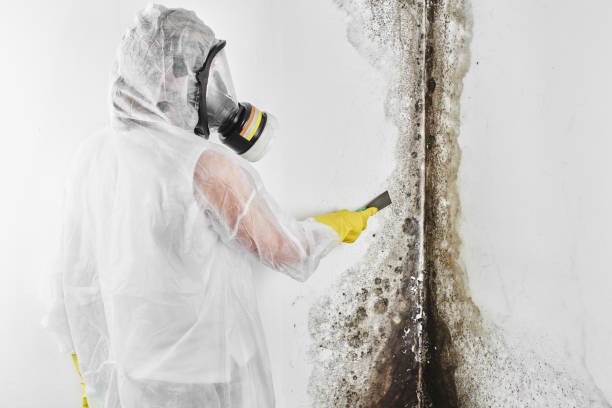 Best Mold Testing  in Golden Triangle, NJ