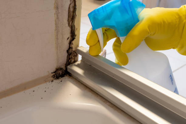 Best Commercial Mold Removal  in Golden Triangle, NJ