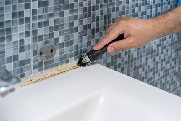 Home Mold Removal in Golden Triangle, NJ