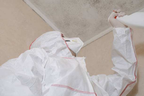 Best Residential Mold Removal  in Golden Triangle, NJ